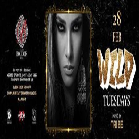 Wild Tuesdays - Ladies Night at Boudoir by DJ Tribe
