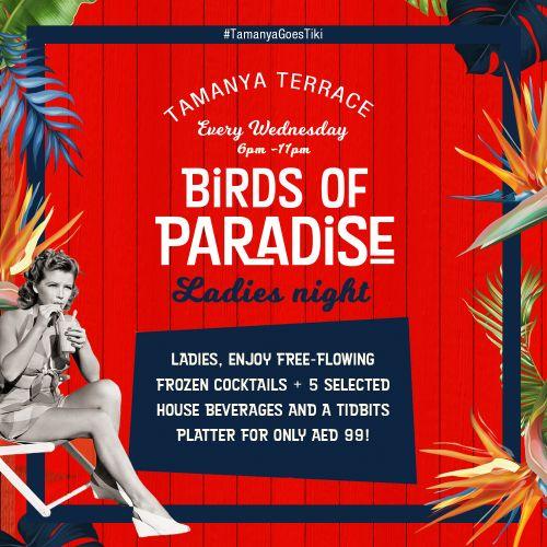 Birds of Paradise Ladies Night