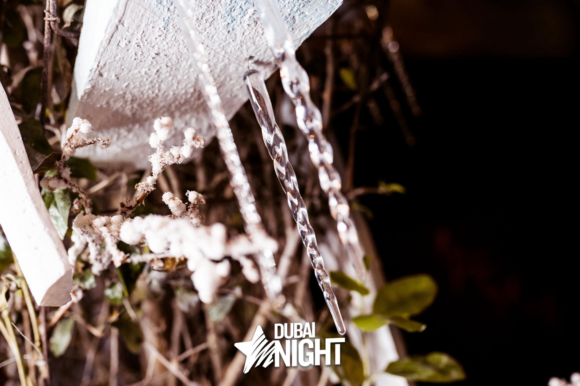 https://api.dubainight.com/static-image/region_dubai/marked/DSC05161-7635-2022-07-09.jpg