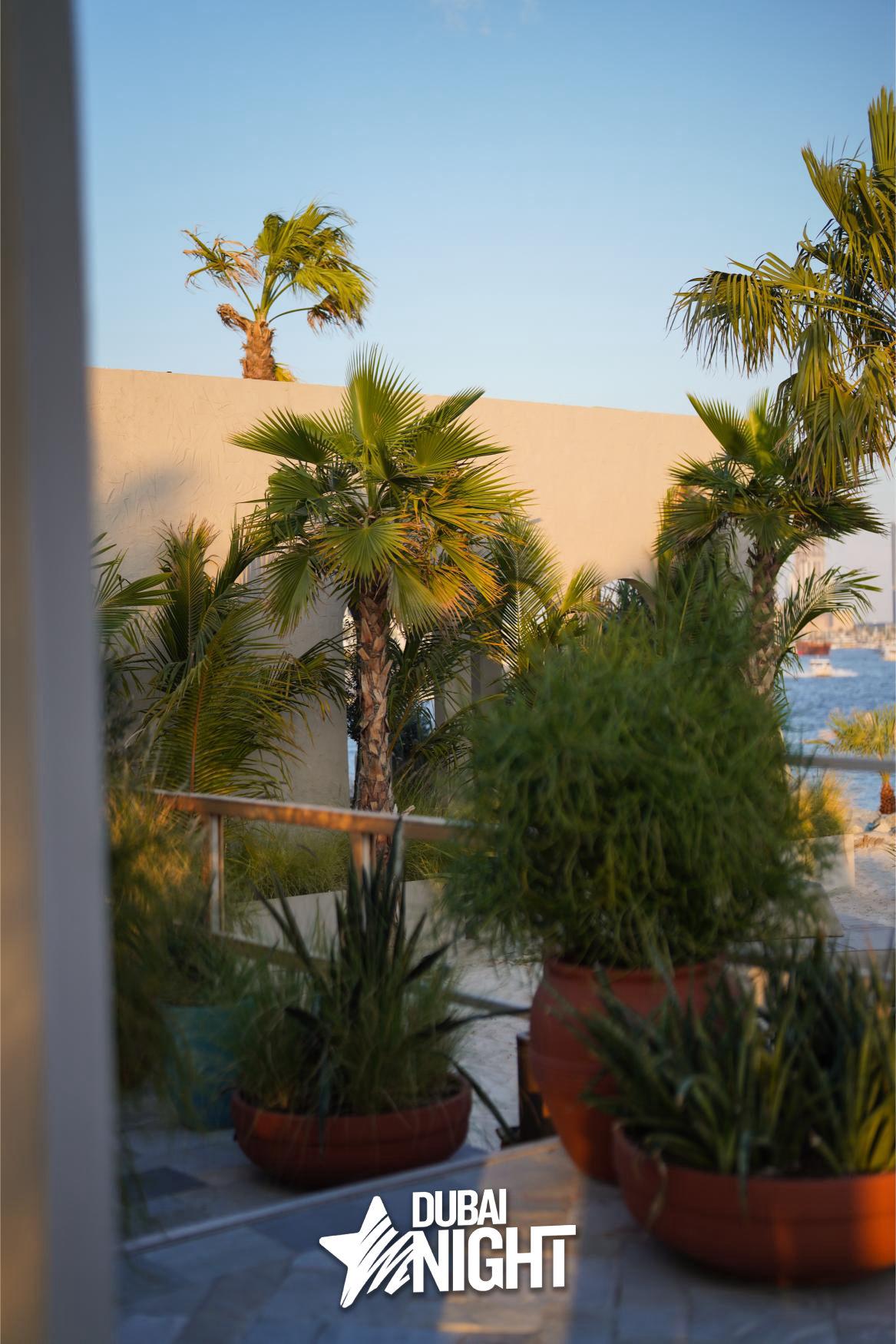 https://api.dubainight.com/static-image/region_dubai/marked/JPG-9500-7884-2025-01-23.jpg