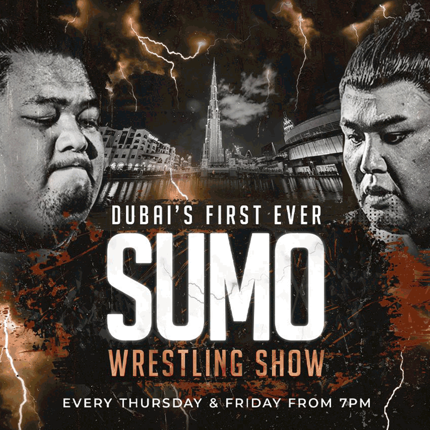 Sumo Wrestling Show 
