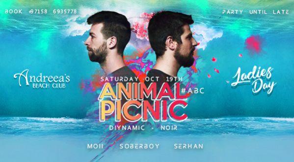 Saturday Ladies Day feat. Animal Picnic at Andreeas