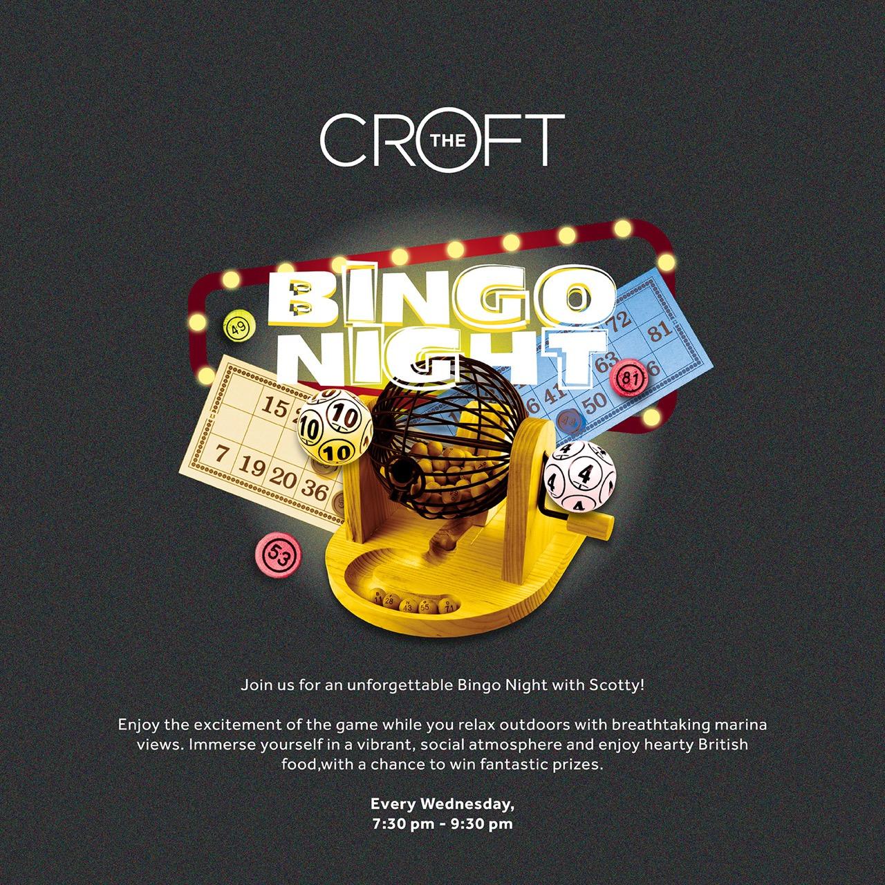 Bingo Nights