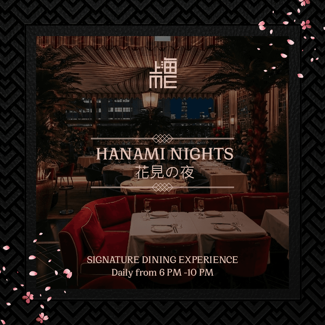 Hanami Nights